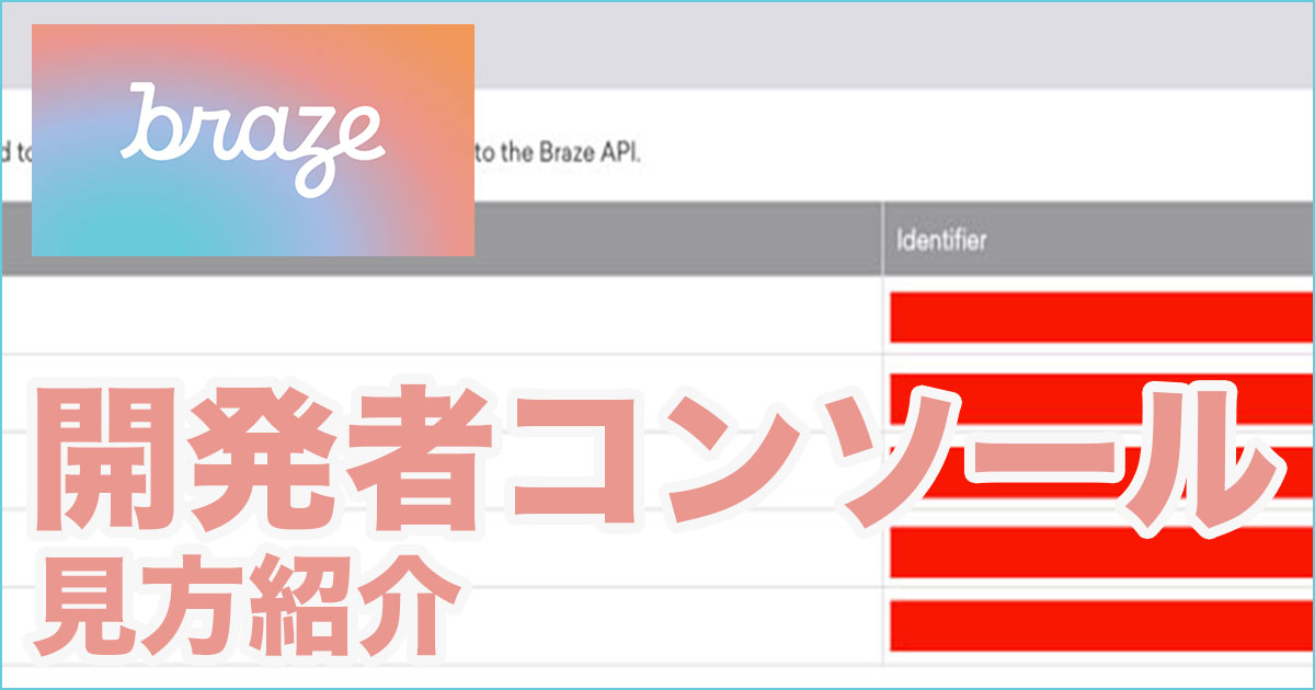 BrazeのAPI連携や検証で使う開発者コンソールの紹介！