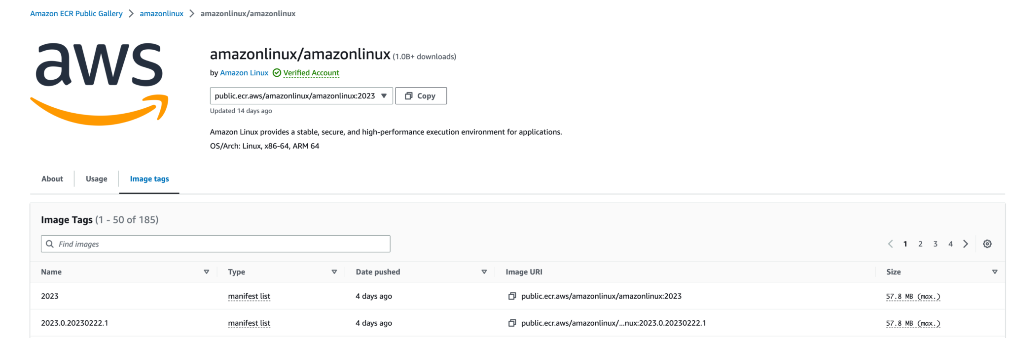 Amazon Linux 2023 の Docker イメージが提供されていたので Snyk Container でパッケージのバージョン情報 ...