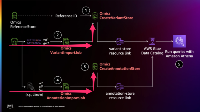 Amazon Omics Analytics に保存したバリアントファイルとアノテーションファイルを Athena から検索してみた ...