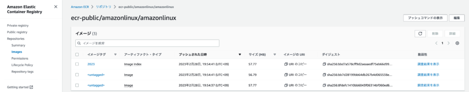 Amazon Linux 2023 の Docker イメージが提供されていたので Snyk Container でパッケージのバージョン情報 ...