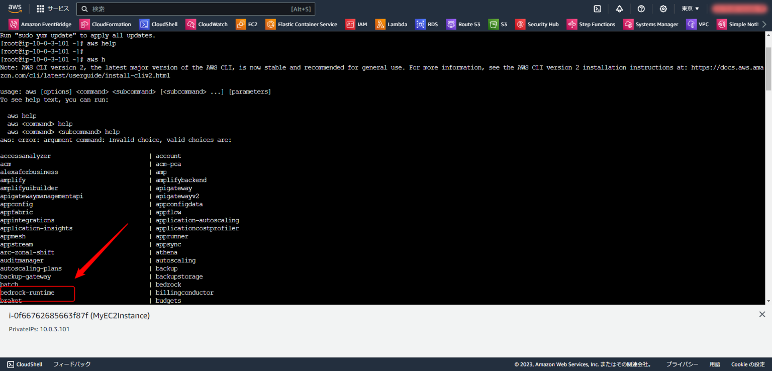 [Amazon Bedrock] 話題の Amazon Bedrock をインターフェイス型 VPC エンドポイントでプライベートに利用したい
