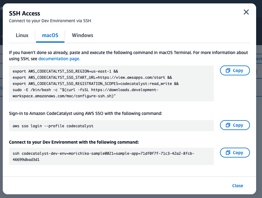 Amazon CodeCatalyst の開発環境へ簡単に SSH 接続できるようになりました | DevelopersIO