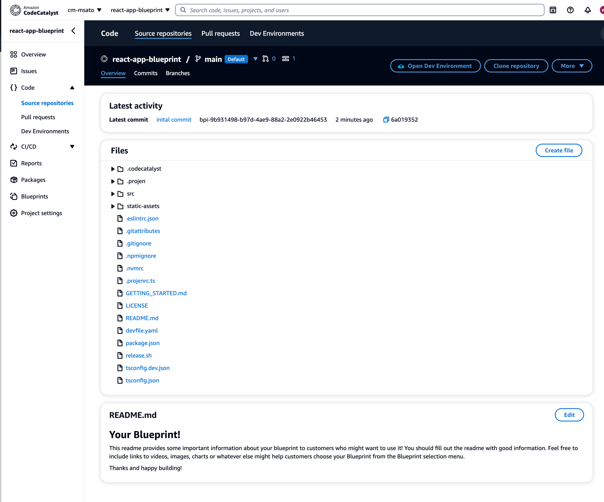 Amazon CodeCatalystがカスタムブループリントをサポートしました | DevelopersIO