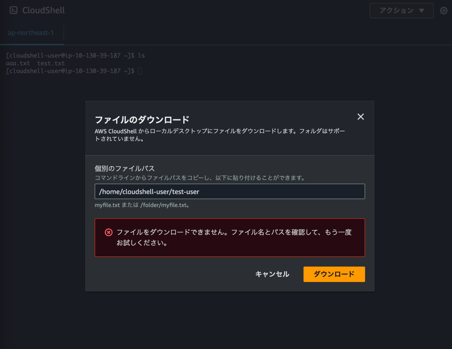 AWS CloudShell におけるファイルのアップロード・ダウンロードを禁止する権限を試してみた | DevelopersIO